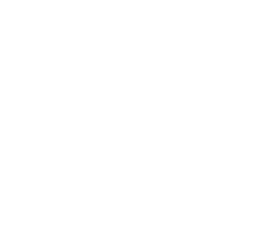 Claritas_Advantage_Reporting_Neg
